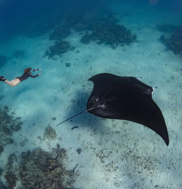 Traveling to Raja Ampat